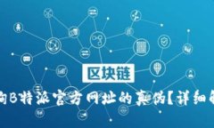 : 如何查询B特派官方网址