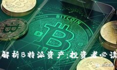 全面解析B特派资产：投资