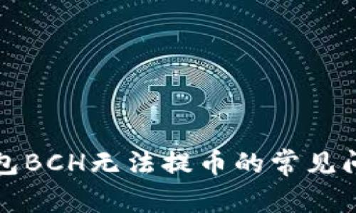 解决比特派钱包BCH无法提币的常见问题及解决方案