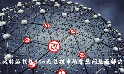 解决比特派钱包BCH无法提币的常见问题及解决方案