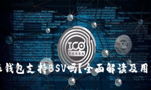 比特派钱包支持BSV吗？全面解读及用户指南