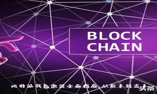 比特派钱包激活全面指南：从新手到高手