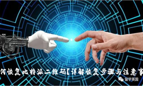 如何恢复比特派二维码？详解恢复步骤与注意事项
