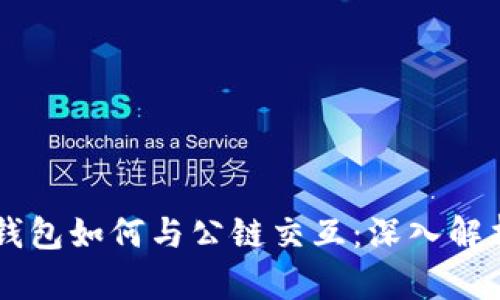 区块链钱包如何与公链交互：深入解析与应用