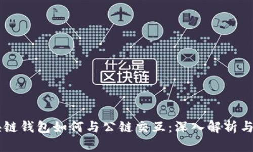 区块链钱包如何与公链交互：深入解析与应用