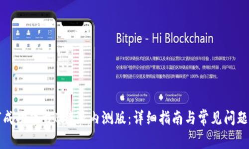 如何成功下载B特派内测版：详细指南与常见问题解答