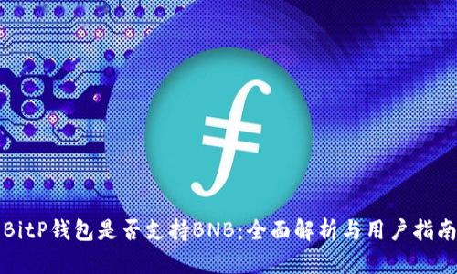 BitP钱包是否支持BNB：全面解析与用户指南