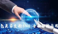 BitP钱包是否支持BNB：全面