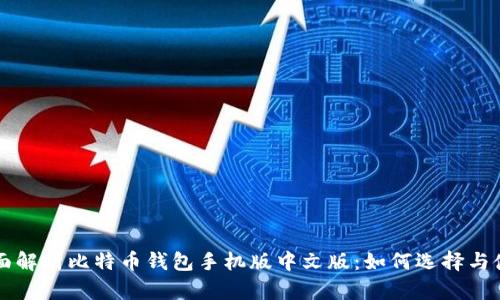全面解析比特币钱包手机版中文版：如何选择与使用