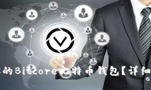 如何搭建属于你的Bitcore比特币钱包？详细指南与最佳实践