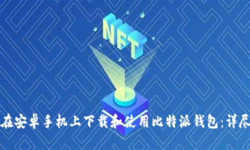 如何在安卓手机上下载和使用比特派钱包：详尽指南