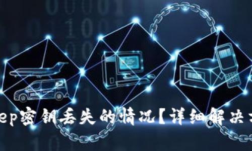 如何处理Bitkeep密钥丢失的情况？详细解决方案及预防措施