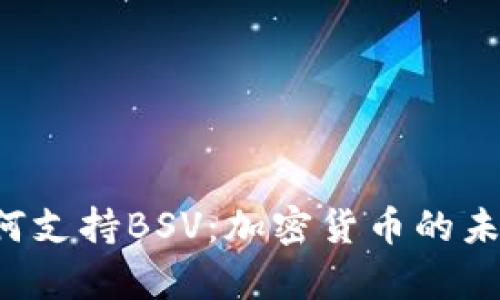 探讨B特派如何支持BSV：加密货币的未来与应用前景