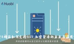 探讨B特派如何支持BSV：加