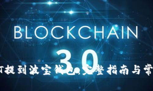 如何将USDT提到波宝钱包：完整指南与常见问题解答