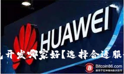 区块链钱包开发哪家好？选择合适服务商的指导