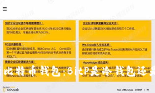 深入剖析比特币钱包：BitP是冷钱包还是热钱包？