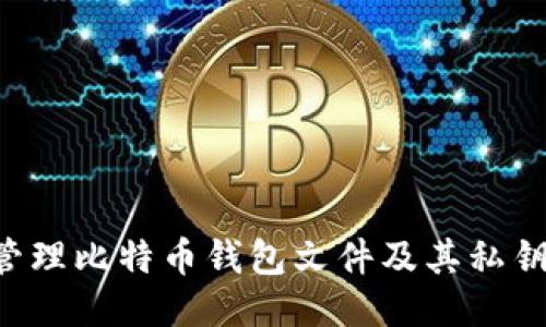 如何安全管理比特币钱包文件及其私钥：全面指南