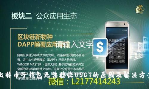 比特币子钱包无法接收USDT的原因及解决方案