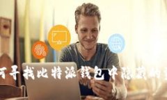 如何寻找比特派钱包中隐