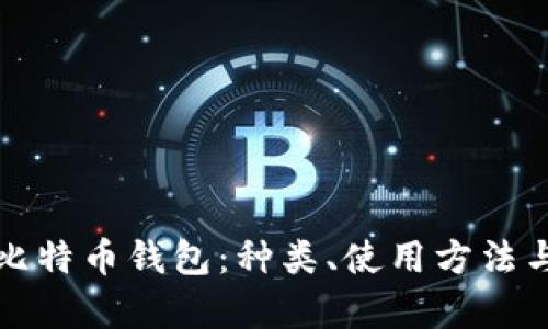 全面解析比特币钱包：种类、使用方法与安全保障