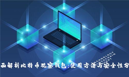 全面解析比特币观察钱包：使用方法与安全性分析