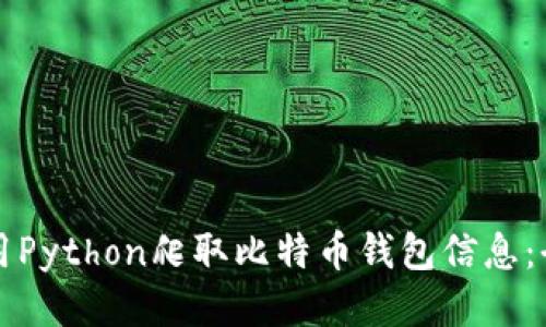 如何使用Python爬取比特币钱包信息：全面指南