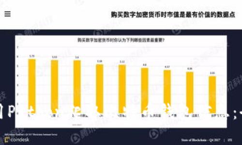 如何使用Python爬取比特币钱包信息：全面指南