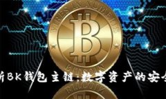全面解析BK钱包主链：数字