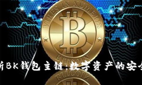全面解析BK钱包主链：数字资产的安全与便捷