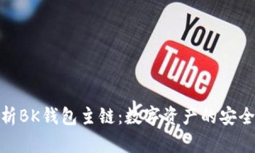 全面解析BK钱包主链：数字资产的安全与便捷