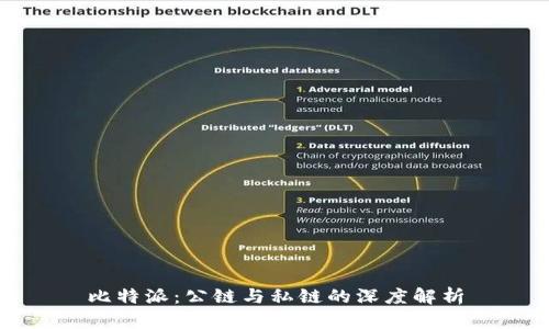 比特派：公链与私链的深度解析