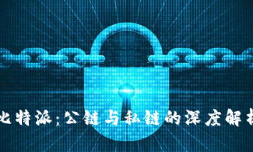 比特派：公链与私链的深度解析