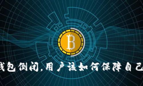 如果B特派钱包倒闭，用户该如何保障自己的资产安全