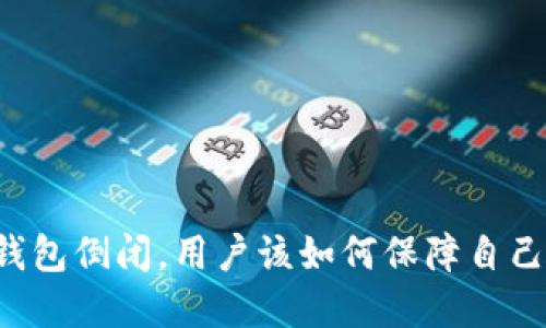 如果B特派钱包倒闭，用户该如何保障自己的资产安全
