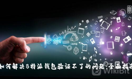如何解决B特派钱包验证不了的问题：全面指南