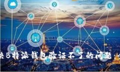 如何解决B特派钱包验证不