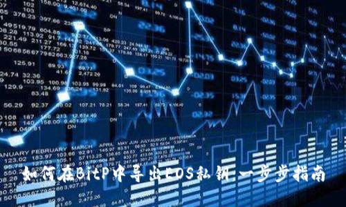 如何在BitP中导出EOS私钥：一步步指南