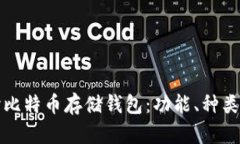 深入探讨比特币存储钱包