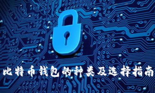 比特币钱包的种类及选择指南