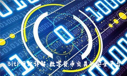 BitP网站详解：数字货币交易的安全平台