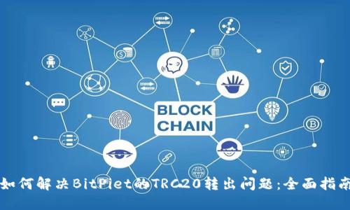 如何解决BitPiet的TRC20转出问题：全面指南