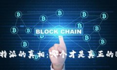探寻B特派的真相：哪个才