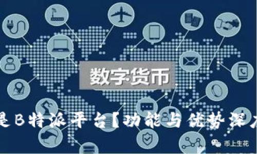 什么是B特派平台？功能与优势深度解析