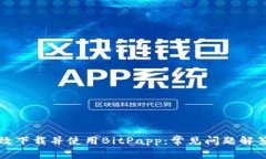 如何高效下载并使用BitP