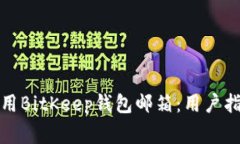 如何安全高效地使用BitK