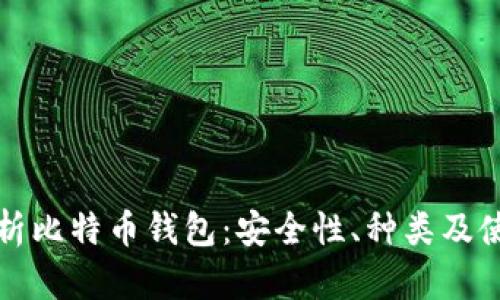 全面解析比特币钱包：安全性、种类及使用指南