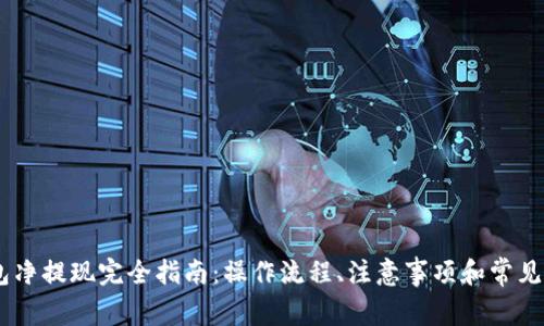 USDT钱包净提现完全指南：操作流程、注意事项和常见问题解答