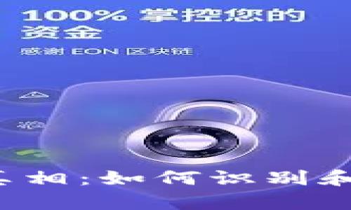 揭开B特派钱包骗局的真相：如何识别和防范加密货币投资风险