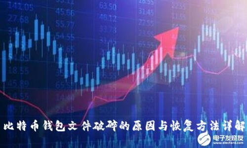 比特币钱包文件破碎的原因与恢复方法详解